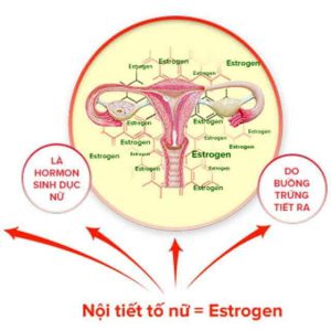 Rối loạn nội tiết tố nữ gây ra những hệ luỵ gì ?