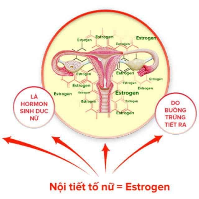 Rối loạn nội tiết tố nữ gây ra những hệ luỵ gì ?