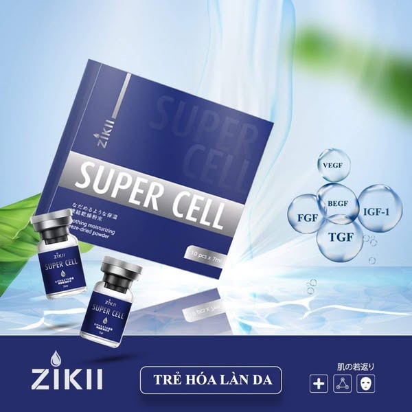 Tế Bào Gốc Đông Khô