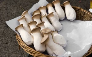 Nấm đùi gà cung cấp vitamin và khoáng chất thiết yếu, giúp mẹ bầu tăng cường sức khỏe và hỗ trợ sự phát triển của thai nhi.